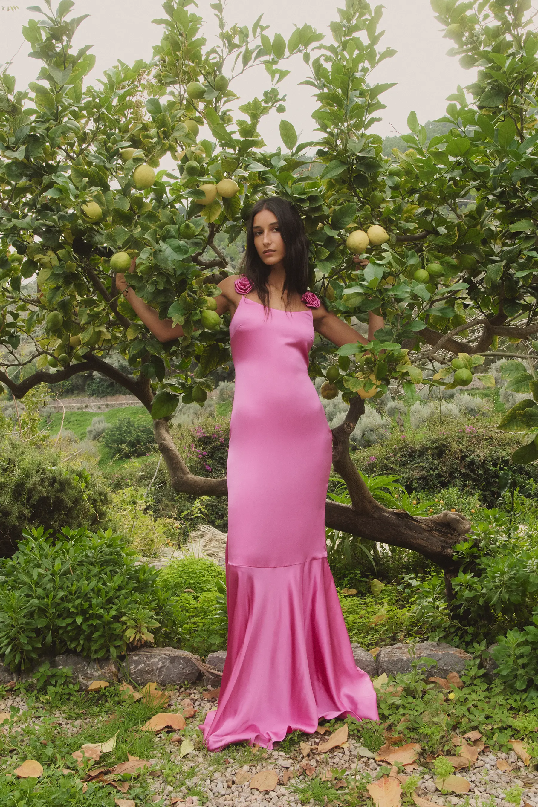 MARCELLA GOWN
