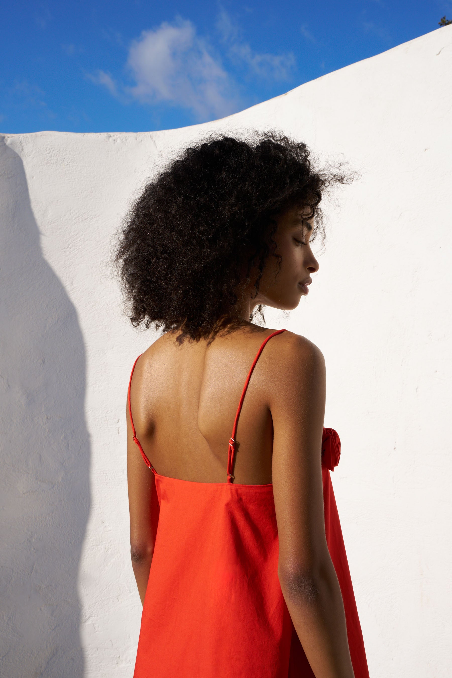 VERA MINI DRESS