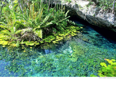 TOP SEVEN CENOTES TO VISIT IN MEXICO